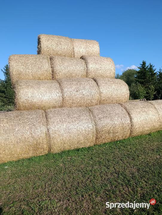Słoma z żyta i pszenżyta 120 owijane siatka sprzedam