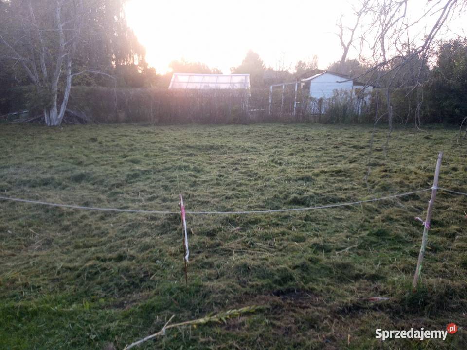 Działka ROD Słonecznik woda prąd i zielona Lublin