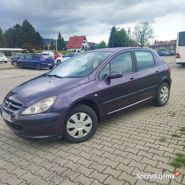 PEUGEOT 307 2005 251300 ZADBANY SPRAWNY Cięcina