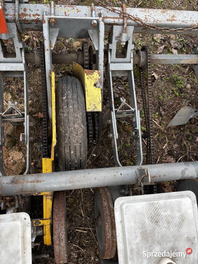 Siewnik do buraków Gamma Czermin sprzedam