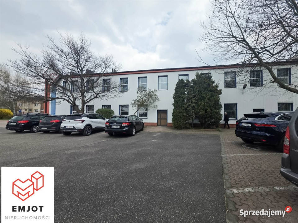 Lokal na wynajem Zduńska Wola 300m2