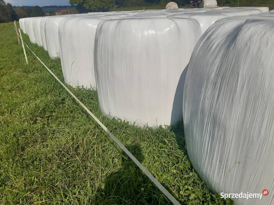 Bele Sianokiszonka siano krowy konie