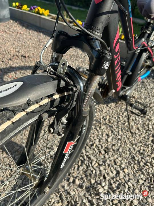 Rower 24 onilus vapor 24 Wodzisław Śląski