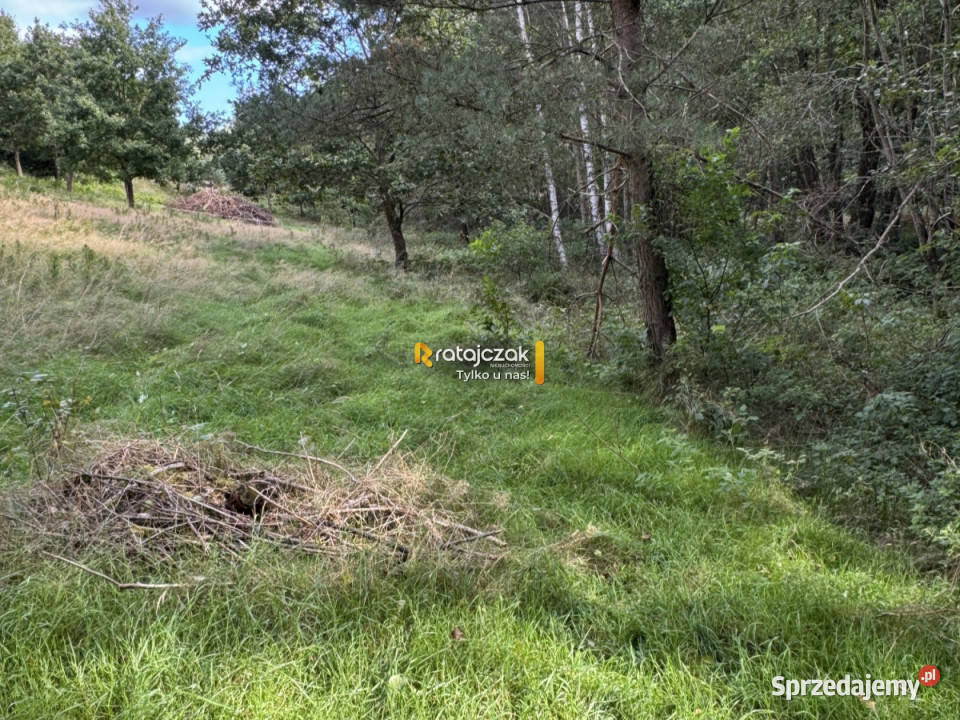 Działka Koleczkowo Jeziorna 5800m2 pomorskie sprzedam