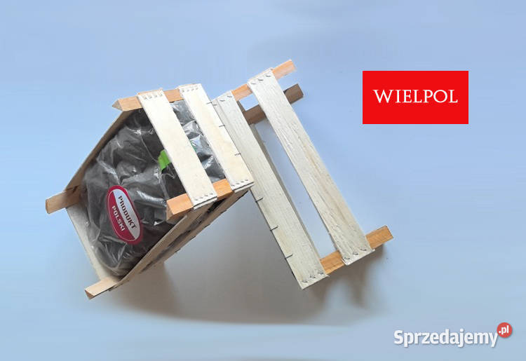 Opakowania na sadzonki truskawek Sprzedaż sprzedam