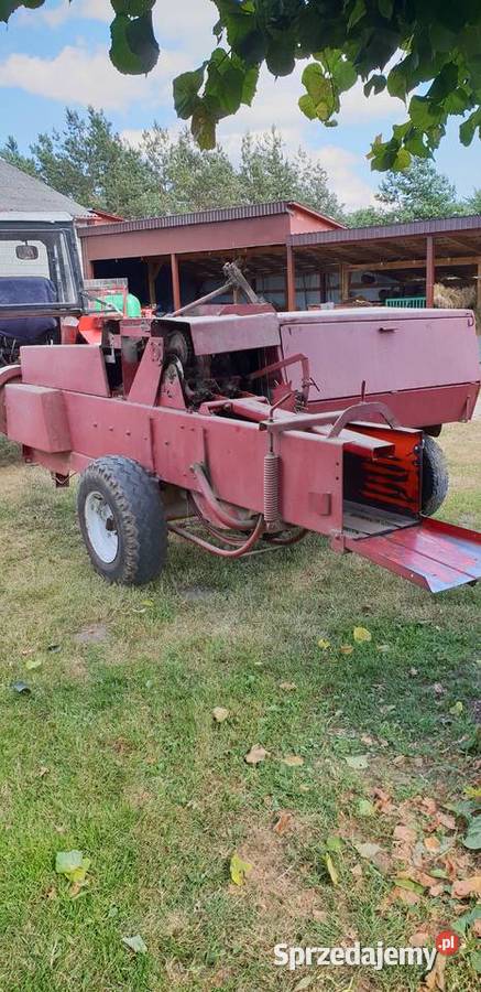 prasa sipma kostka Kostkujące lubelskie Firlej