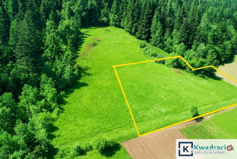 sprzedaży działki Zawóz 4214m2 rolna sprzedam