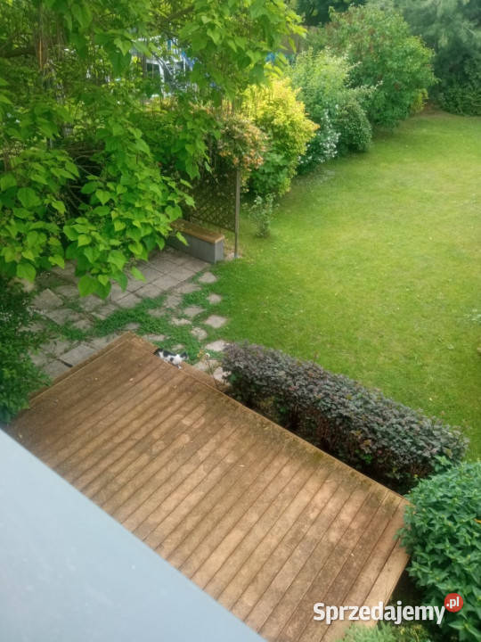 Pół bliźniaka mazowieckie Jadwisin