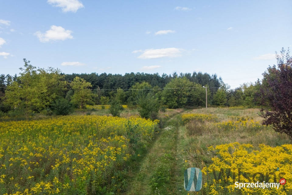 sprzedaży ziemi 1300m2 Łomianki