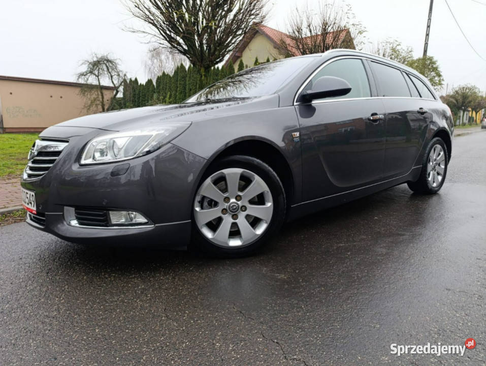 Opel Insignia 20 Turbo Benz AutomatWersja relingi dachowe Kutno sprzedam