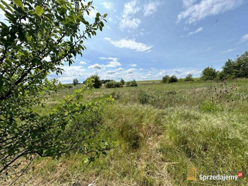 sprzedaży domu bliźniaka 90m2 Żalęcino sprzedam