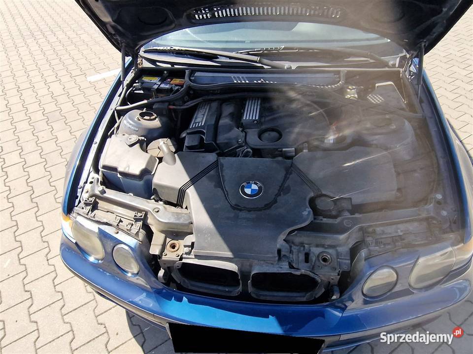 BMW 3 E46 316 i Bydgoszcz