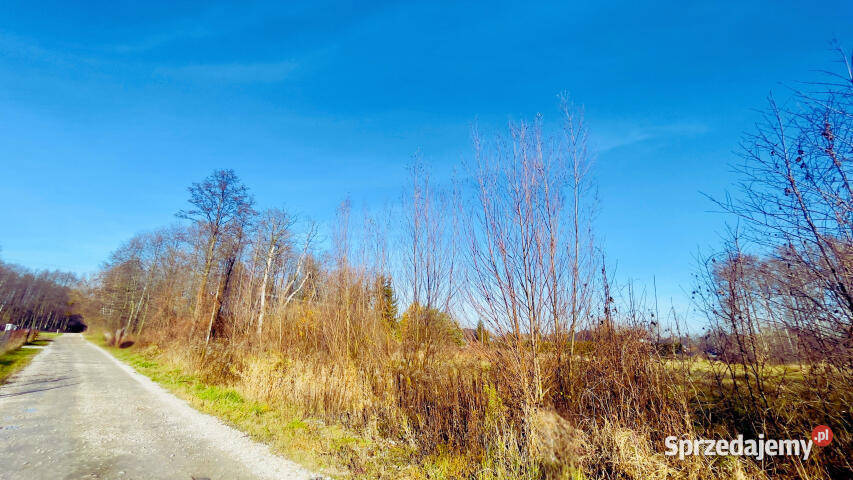 Działkę sprzedam Radonie Ptasia 3000 metrów