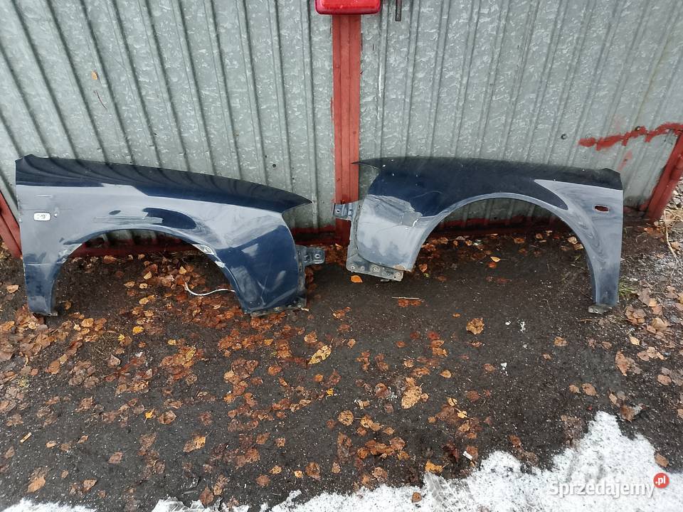 Błotniki Audi A6 C5 lift łódzkie Radomsko sprzedam