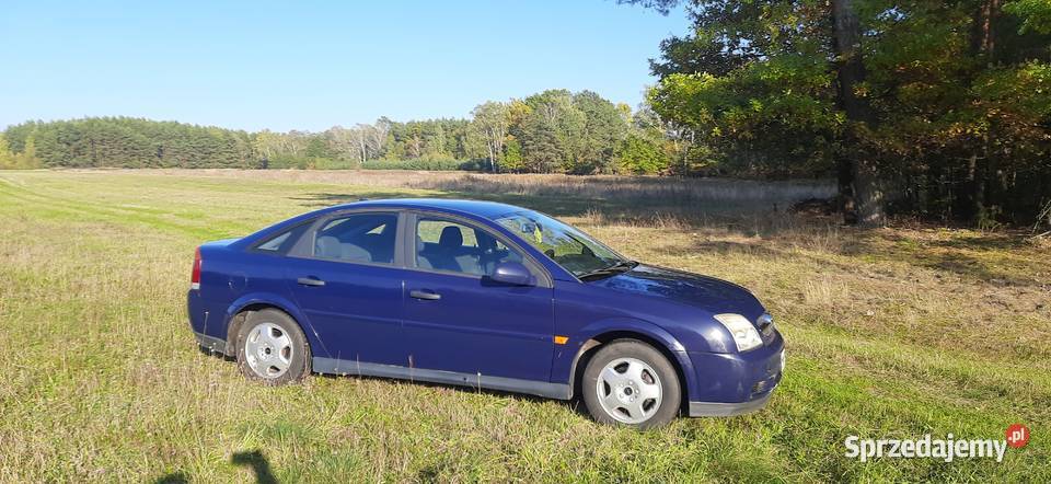 Opel Vectra C 19 CDTI 120 2005 mazowieckie Kołbiel