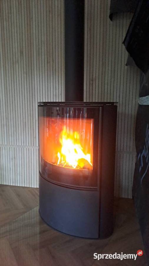 Kominek koza Bjorn PRO Kratki nowy taniej niz u