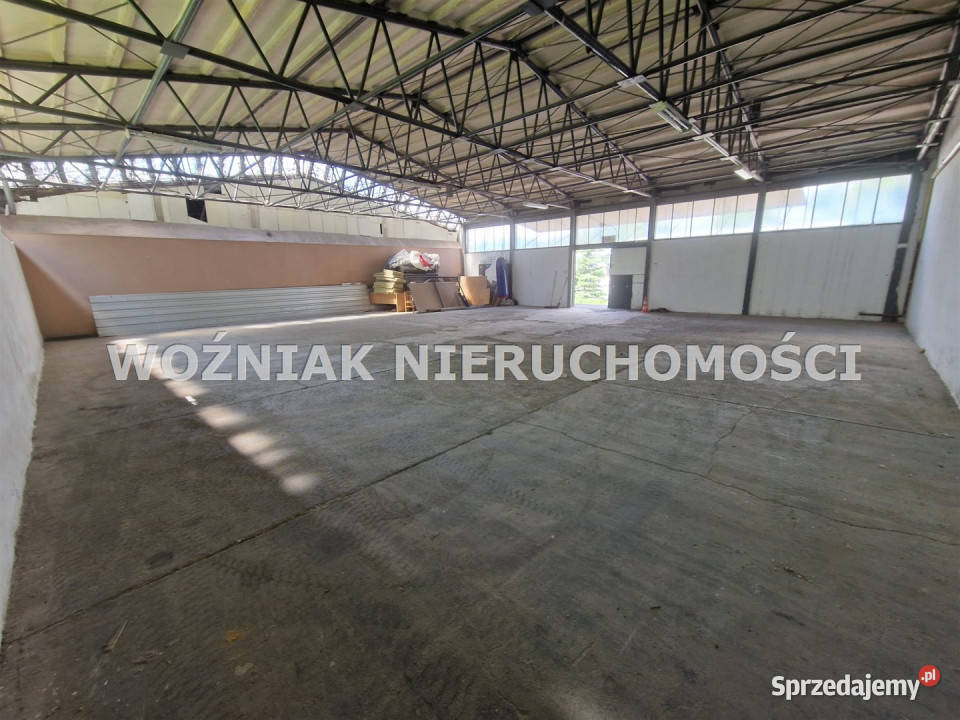Lokal Wałbrzych 240m2