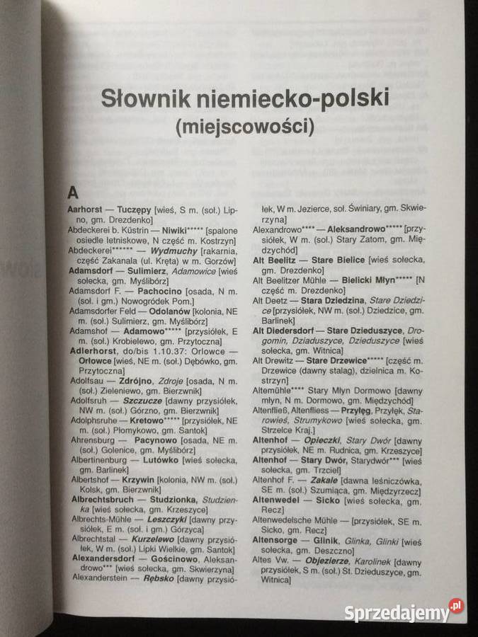 2733 Polski I Niemiecki Słownik Gorzowski zachodniopomorskie Szczecin