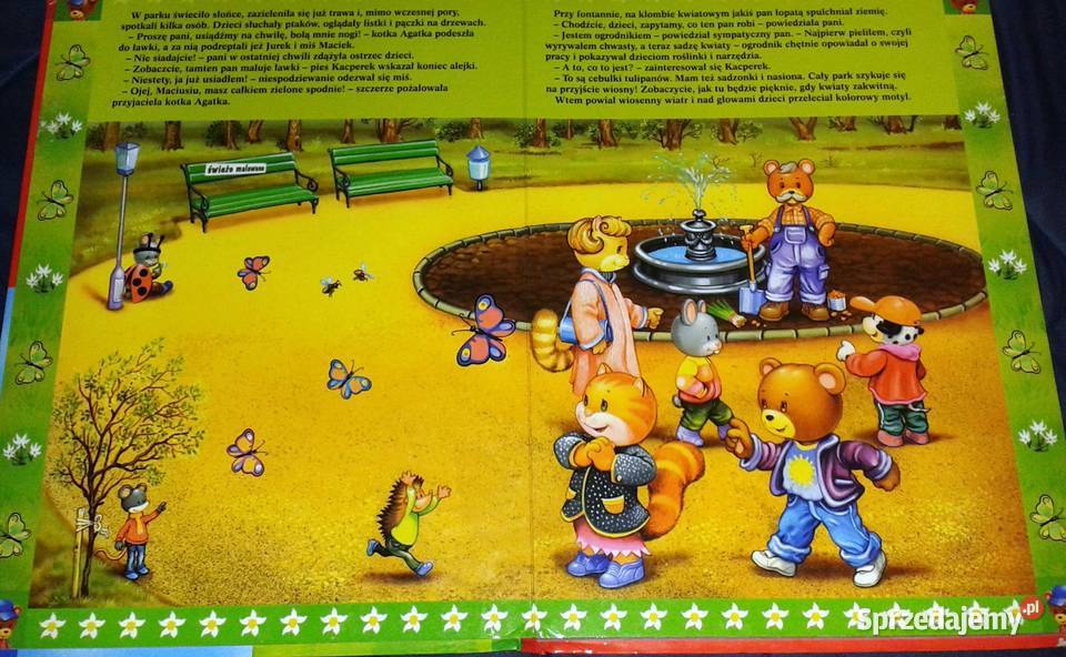 Przygody misia Maćka Justyna Święcicka lubelskie Chełm