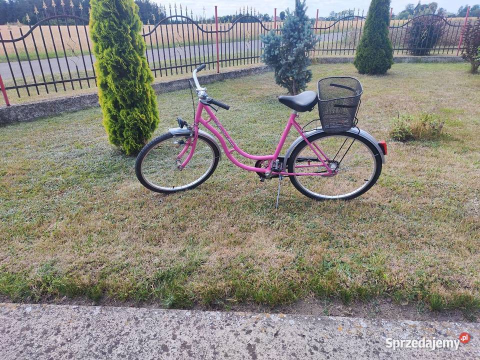 Sprzedam rower damka 26 Ślesin