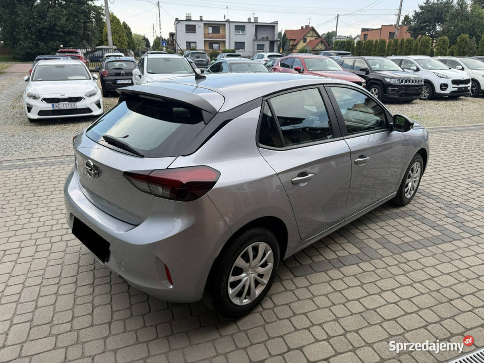 Opel Corsa 12 75 F 2019 Orzech