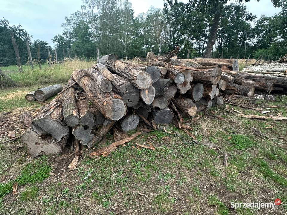 Drewno opałowe Kamieniec Ząbkowicki
