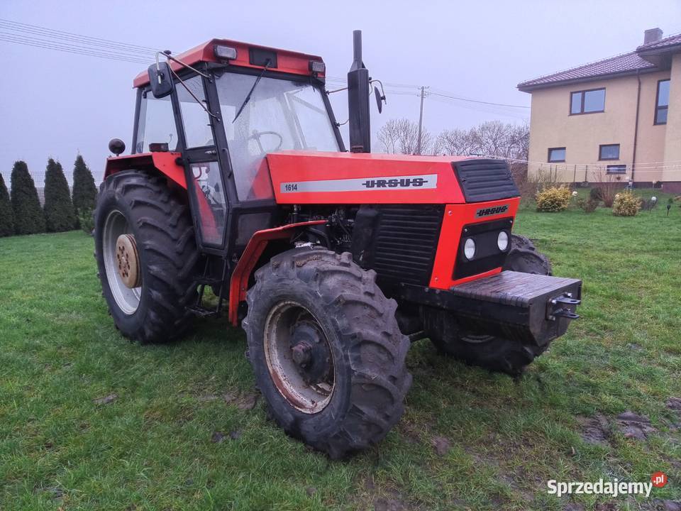 Ciągnik Rolniczy Ursus 1614 Ursus kujawsko-pomorskie