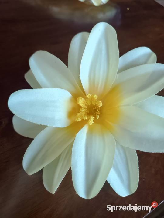 KWIATY SZTUCZNE VIP 2036 duże rozłożyste dalia Sztuczne kwiaty i owoce Siewierz