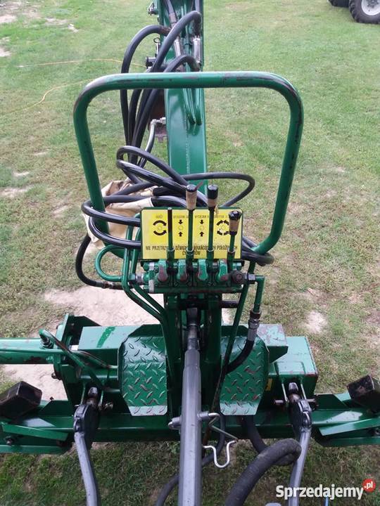 Cyklop Troll Kazimierza Wielka