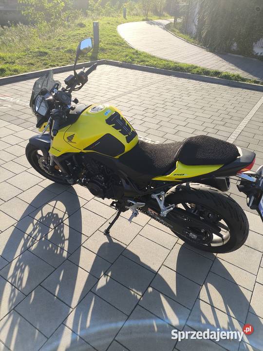Honda hornet
