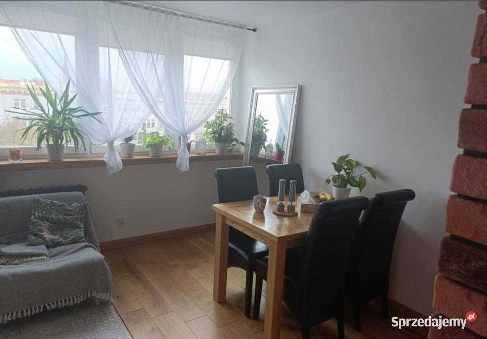 3pok 54met Górniczej ROZKŁADPIWNICAWINDA Legnica 3 piętra i więcej