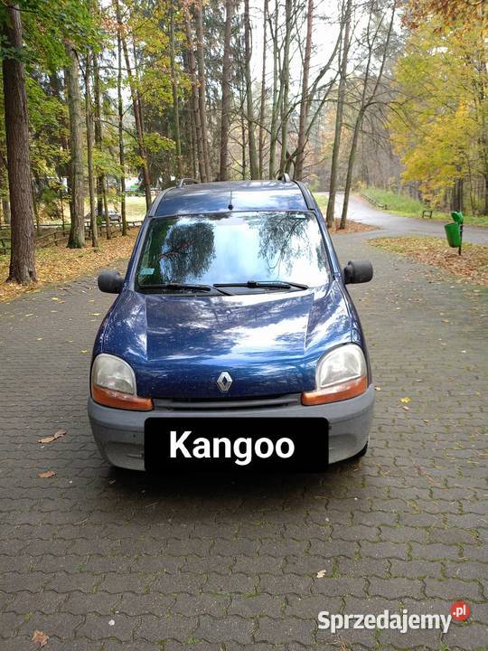Renault Kangoo 2001r 19 Diesel Lidzbark Warmiński