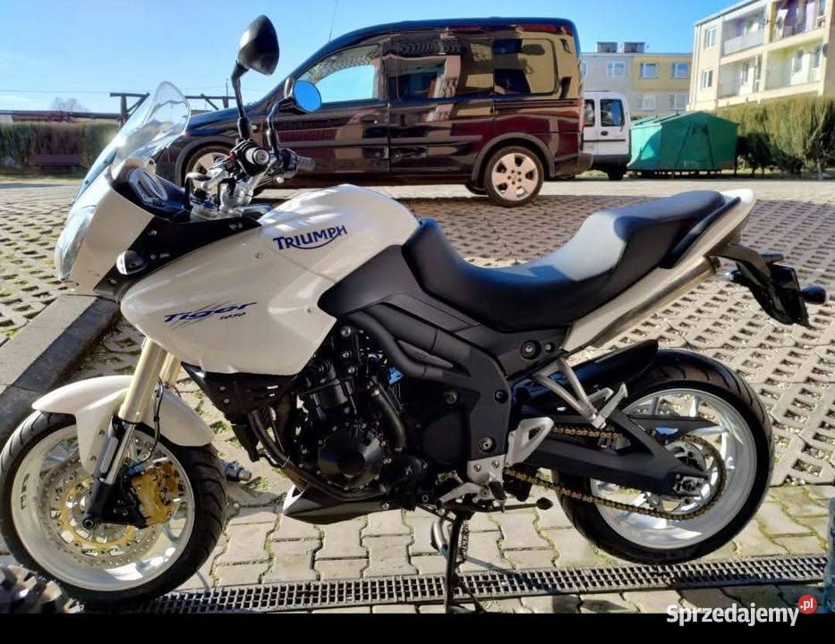 Triumph Tiger 1050 biały Kaniwola