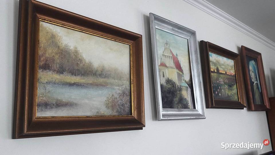 Biebrza Park Narodowy obraz 3040 Rama lubelskie Lublin