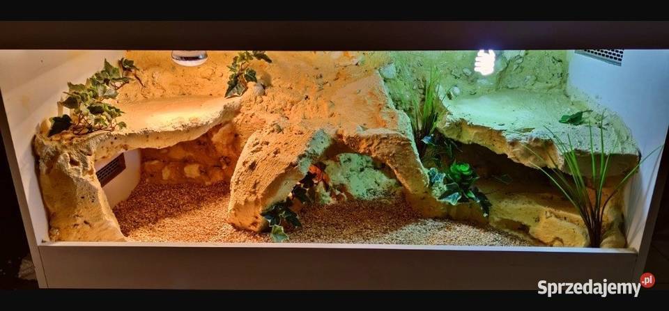 Terrarium Egzo Systems agamy brodatej gekona Zakopane sprzedam