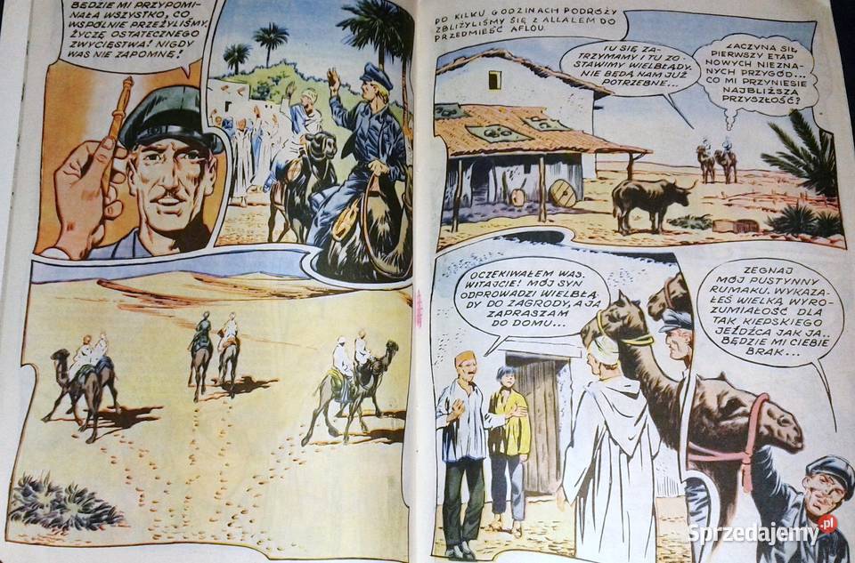 Tajemnica złotej maczety 4 Tragiczny dzień Chełm sprzedam