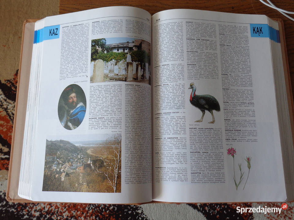 Nowa Encyklopedia Powszechna PWN 6 tomów Skóra Brzeg sprzedam