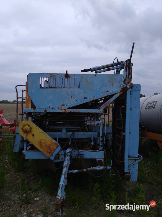 Anna kombajn ziemniaków marchwi grimme Kombajny