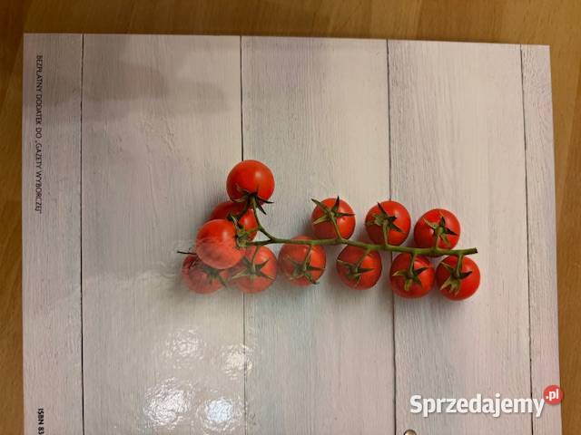 Czasopisma z czasów PRL Nowa kuchnia polska śląskie Częstochowa