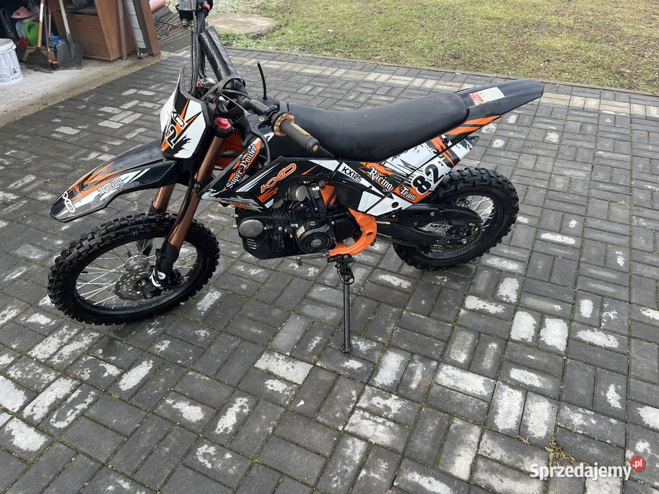 KXD PRO 125 Niedźwiedź