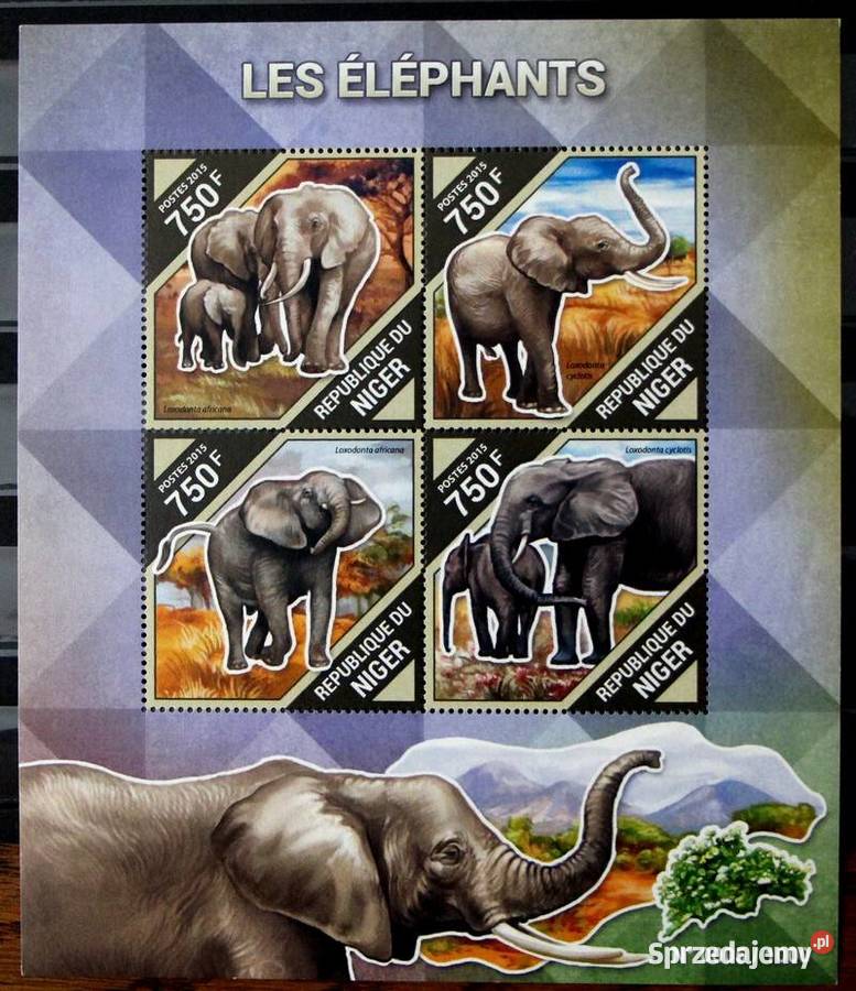 Niger słonie 2