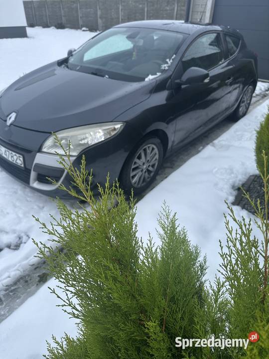 Renault Megane III Coupe Sportowy / Coupe wielkopolskie Leszno