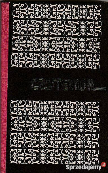 7361 MISTRZ SĄDU OSTATECZNEGO LEO PERUTZ Książki i Podręczniki Czyrna