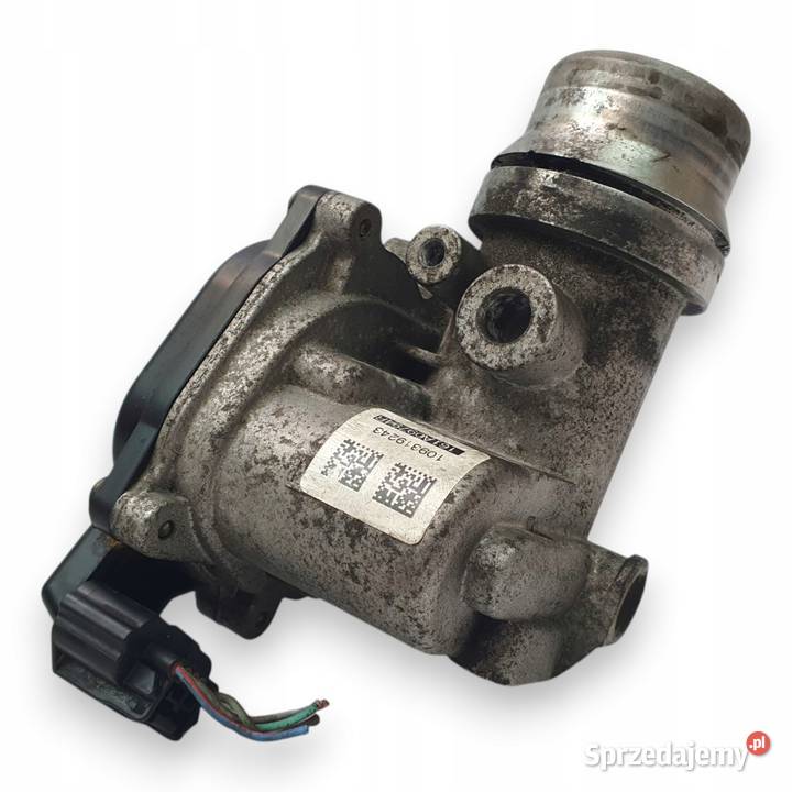 PRZEPUSTNICA Renault Mercedes 15 dCi 161A09794R Chełm