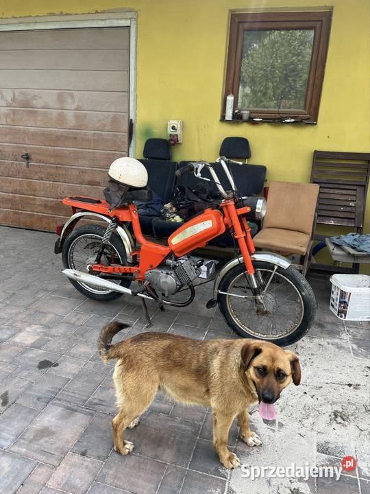 Romet kadet motorower