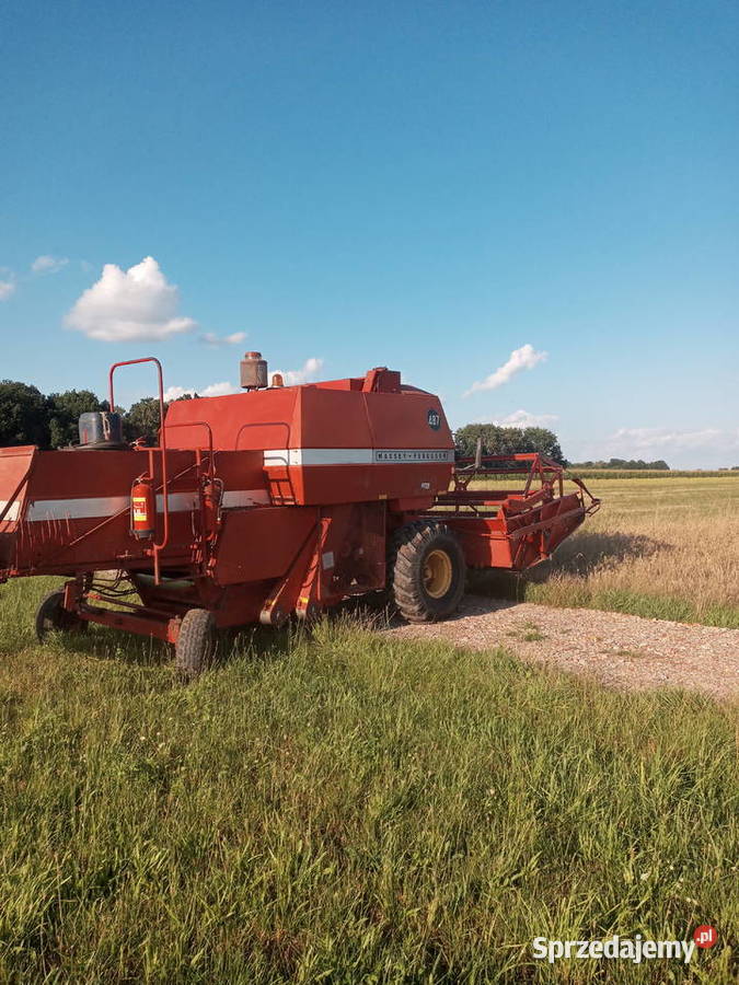 Massey Ferguson 487 Więcków