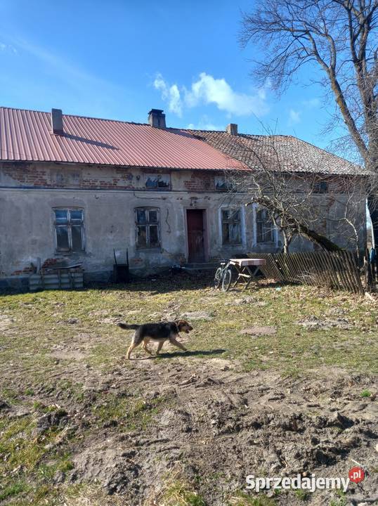 Dom Wolnostojący Sprzedaż Wola Wilknicka