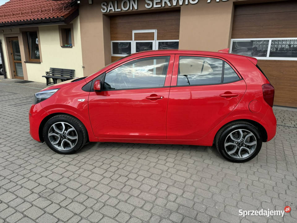 Kia Picanto 10 67 Klimatyzacja Kamera CarPlay nieuszkodzony Orzech