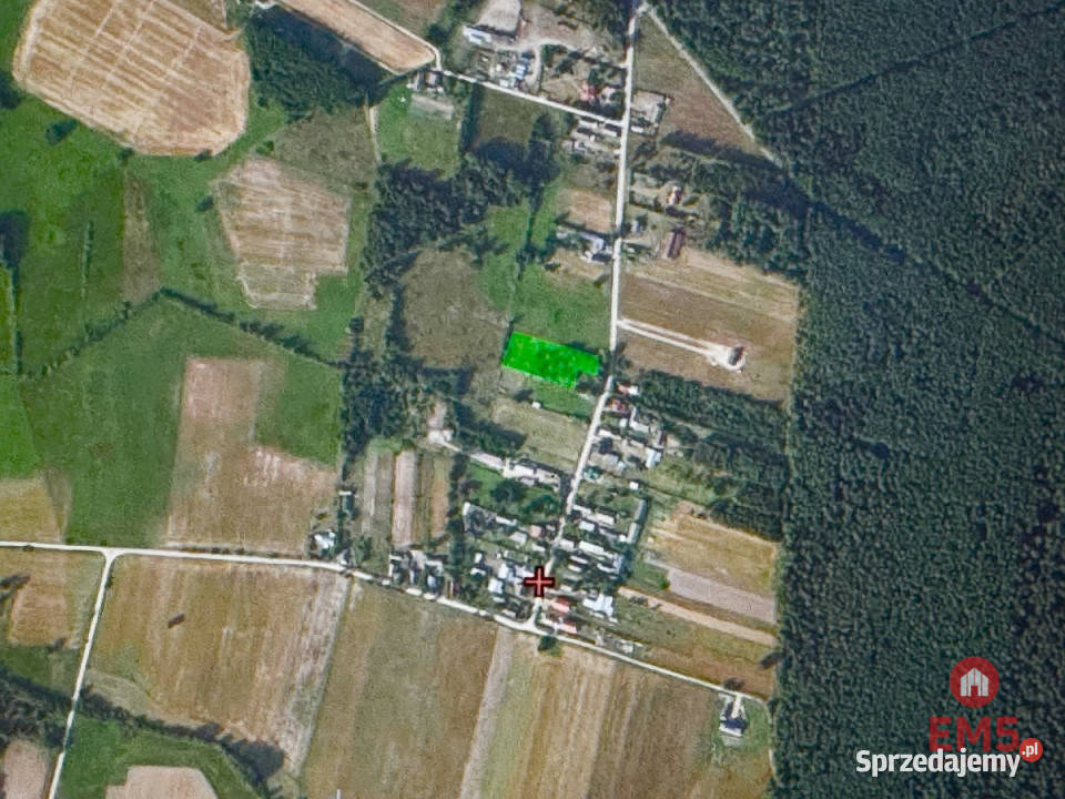 sprzedaży gruntu 2900m2 Kosmaty Borek Sprzedaż podlaskie sprzedam