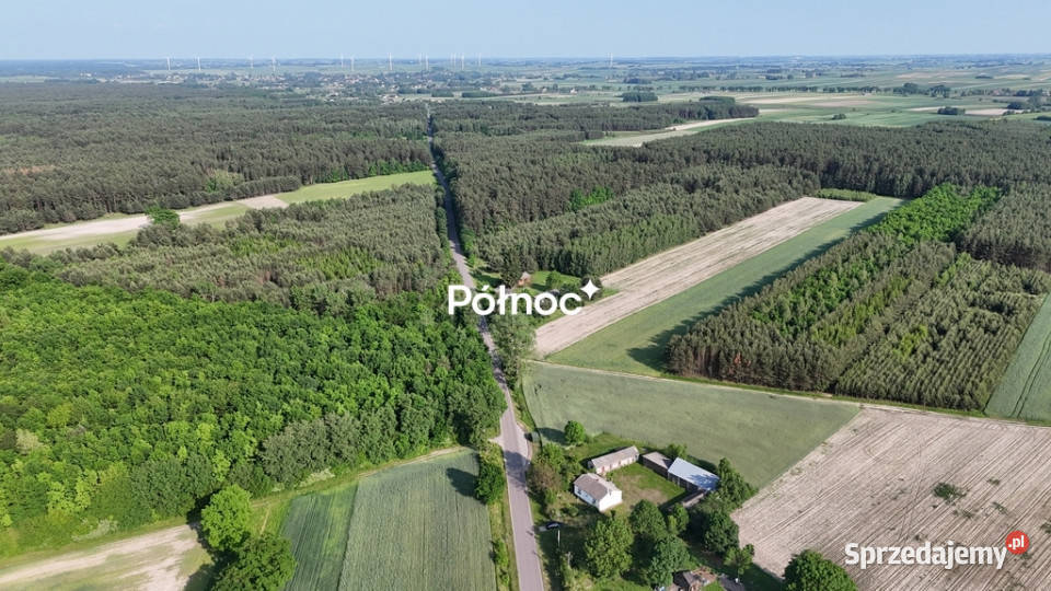 Dom na dużej działce Marysin